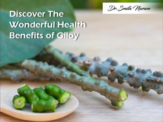 Discover The Wonderful Health Benefits of Giloy
